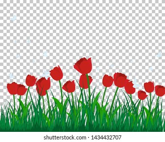 Vector grass silhouettes background. All objects are separated.