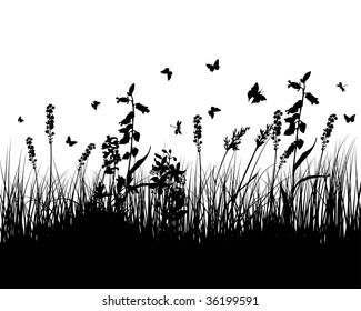 Vector grass silhouettes background. All objects are separated.