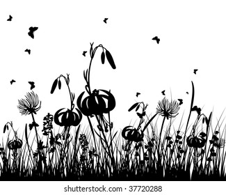 Vector grass silhouettes background. All objects are separated.