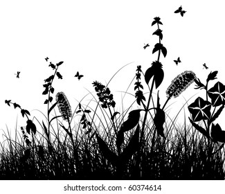 Vector grass silhouettes background. All objects are separated.