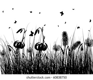 Vector grass silhouettes background. All objects are separated.