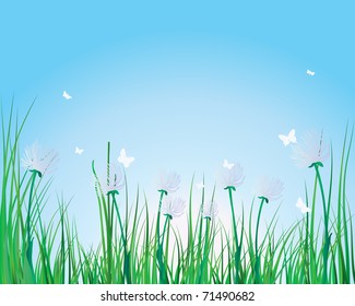 Vector grass silhouettes background. All objects are separated.
