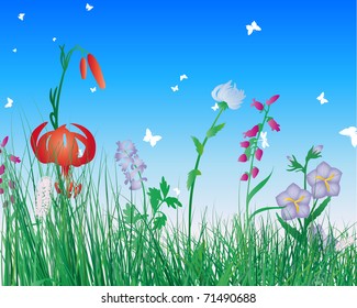 Vector grass silhouettes background. All objects are separated.