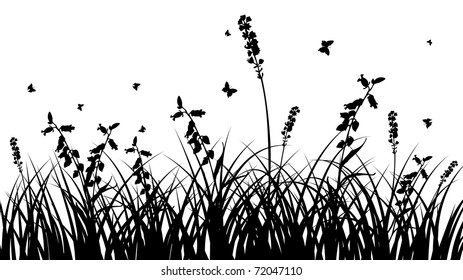 Vector grass silhouettes background. All objects are separated.