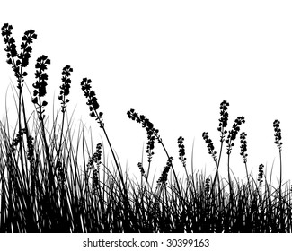 Vector grass silhouettes background for design use