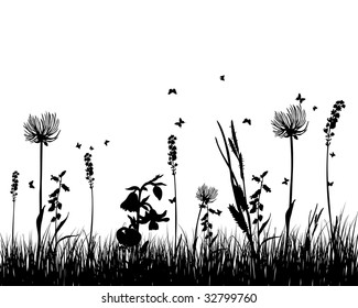 Vector grass silhouettes background for design use