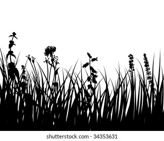 Vector grass silhouettes background for design use