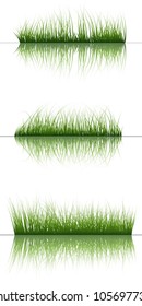 Vector grass silhouettes background with reflection in water. All objects are separated.