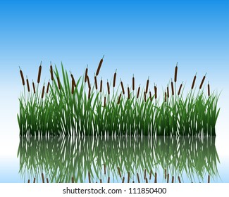 Vector grass silhouettes background with reflection in water. All objects are separated.