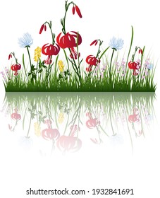 Vector grass silhouettes background with reflection in water. All objects are separated.