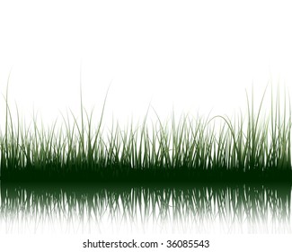 Vector grass silhouettes background with reflection in water. All objects are separated.