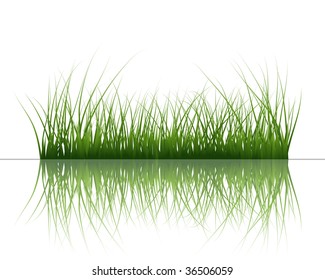 Vector grass silhouettes background with reflection in water. All objects are separated.