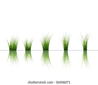 Vector grass silhouettes background with reflection in water. All objects are separated.