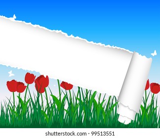 Vector grass silhouettes background with ripped stripe. All objects are separated.