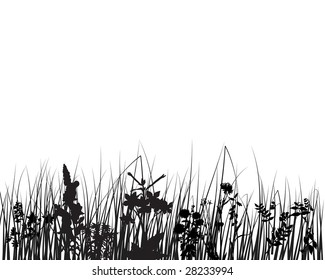 Vector grass silhouettes backgrounds for design use