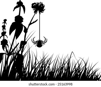 Vector grass silhouettes backgrounds with insects