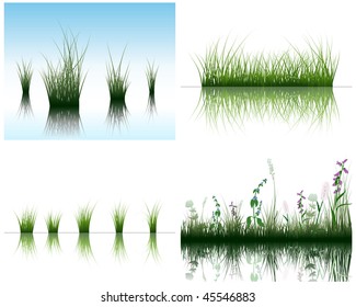 Vector grass silhouettes backgrounds set with reflection in water. All objects are separated.