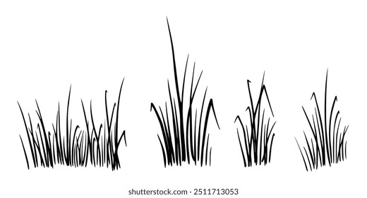 Vector Grass silhouettes. Drawing of lawn painted by black inks on isolated background in linear style. Outline illustration of field for any design. Sketch for landscape. Set of Etchings.