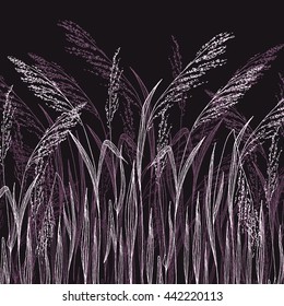 Vector grass sketch, illustration with wild herbs