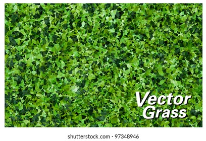 Vector Grass Texture