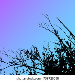 Vector grass and tree landscape silhouette. Realistic tree folliage silhouettes in night and evening sky. Outdoor nature scene, view at tree and night sky from below