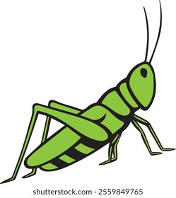 vector grasshopper animal illustration design