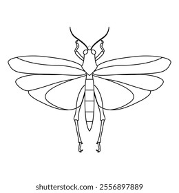 Vector Grasshopper Bug Insect Cartoon Illustration Isolated