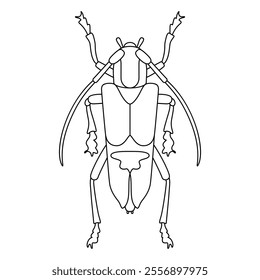 Vector Grasshopper Bug Insect Cartoon Illustration Isolated