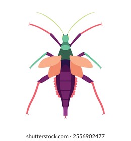 Vector Grasshopper Bug Insect Cartoon Illustration Isolated