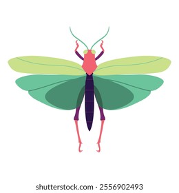 Vector Grasshopper Bug Insect Cartoon Illustration Isolated