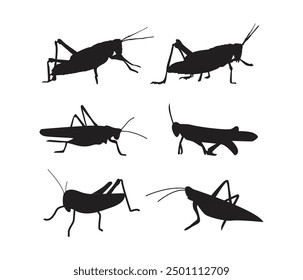  vector grasshopper silhouette set on white background