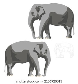 Vector gray elephant Africa Asia side view trunk goes down