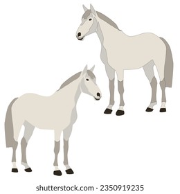 Vector gray horse, the horse stands flat with realistic shadows on a white background