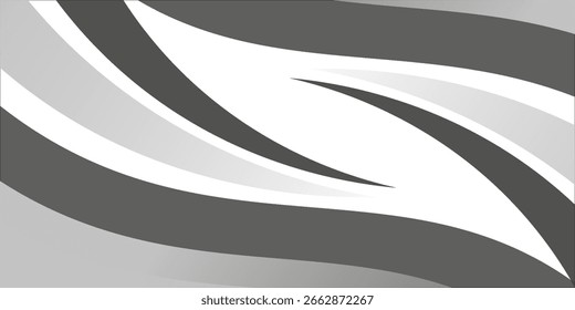 Vector gray line background curve element with white space for text and message design,modern.