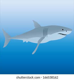 A Vector Gray Shark Isolated With Background
