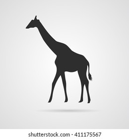 Vector Gray Silhouette of Giraffe. Element for World Environment Day, and other animal and ecology projects. Giraffe Icon