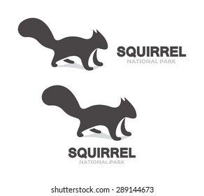 Vector gray squirrel logo or icon