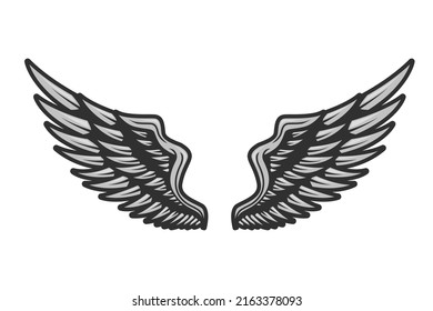 vector gray wings logo illustration