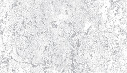 Vector Grayscale  Grunge Pattern Of Old Paint Crackle With A Lot Of Small Cracks, Paint Chips And Scratches. Cool Texture Of Cracks, Stains, Scratches, Splash, Etc For Print And Design. EPS10.