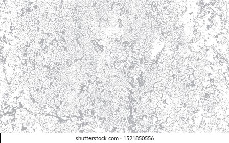Vector grayscale  grunge pattern of old paint crackle with a lot of small cracks, paint chips and scratches. Cool texture of cracks, stains, scratches, splash, etc for print and design. EPS10.