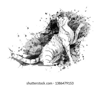 Vector grayscale illustration of a cat
