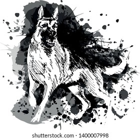 Vector grayscale illustration of a German Shepherd