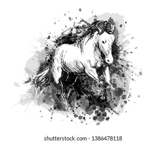 Vector grayscale illustration of a horse