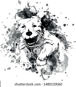 Vector grayscale illustration of a running dog