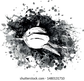 Vector grayscale illustration of a shark