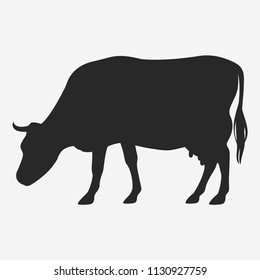 Vector grazing cow isolated on white background.