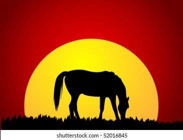 vector grazing horse