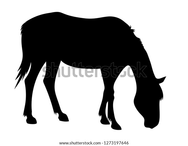 grazing horse clipart easy