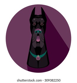 Vector Great Dane dog portrait flat illustration
