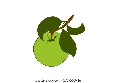 Un vector de un fruto de manzana verde con hojas sobre un fondo blanco.Ilustración vectorial sobre la comida.